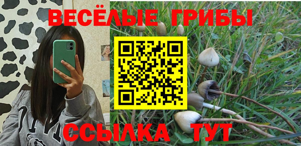 Дубна  Псилоцибиновые грибы MAGIC MUSHROOMS  Псилоцибиновые грибы Psilocybine cubensis  Вход с VPN 